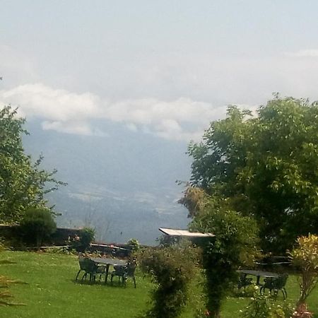 Vamoose Eco Lodge Chevron Kausani Eksteriør bilde